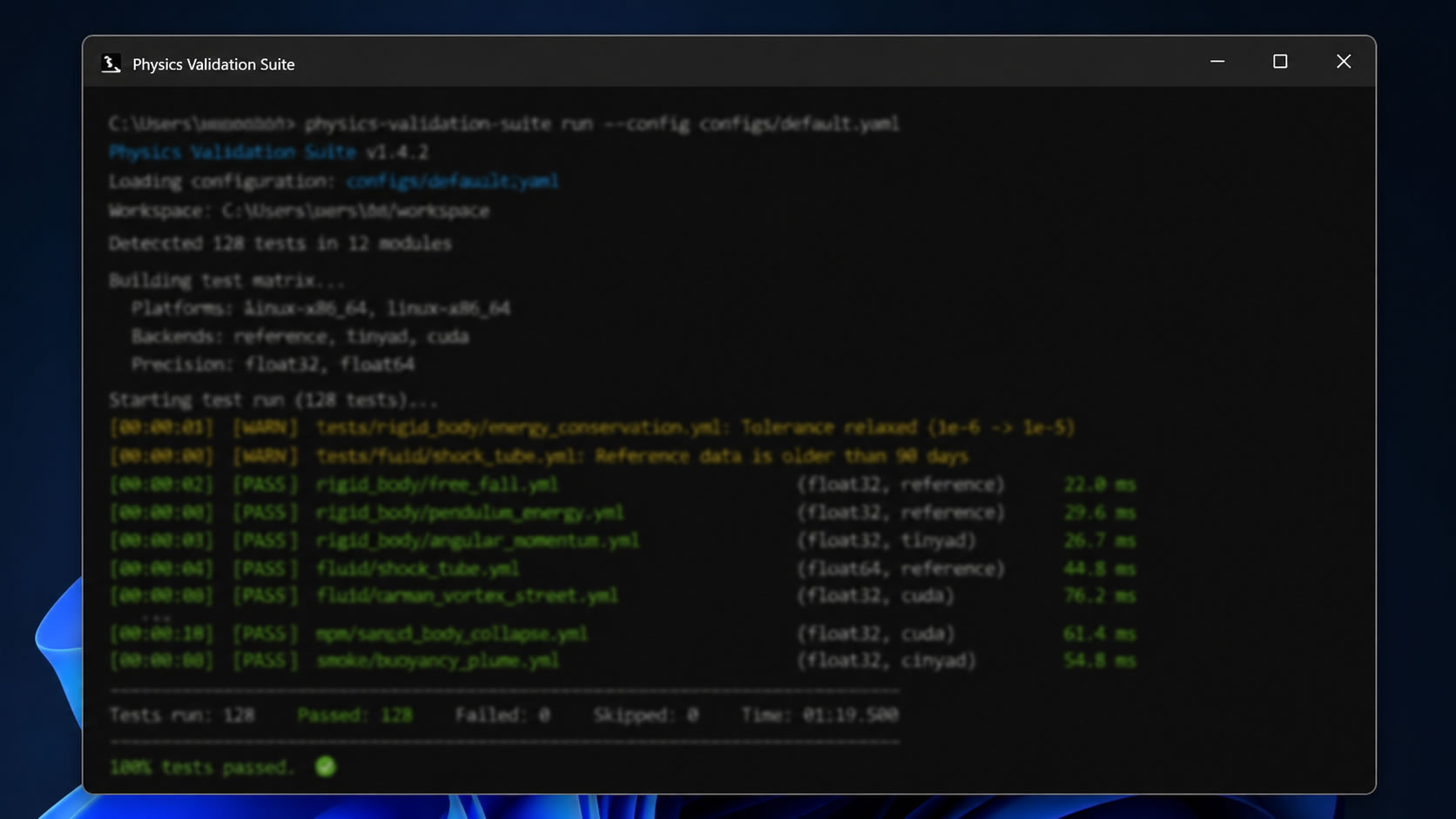 Physics Validation Suite command-line validation output
